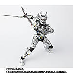 Click image for larger version

Name:	SH-Figuarts-Shinkocchou-Seihou-Silver-Fanged-Knight-Zero-Official-005.jpg
Views:	375
Size:	128.2 KB
ID:	47908