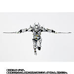 Click image for larger version

Name:	SH-Figuarts-Shinkocchou-Seihou-Silver-Fanged-Knight-Zero-Official-007.jpg
Views:	393
Size:	90.8 KB
ID:	47910