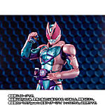 Click image for larger version

Name:	S.H.Figuarts Kamen Rider Aguilera 9.jpeg
Views:	175
Size:	63.2 KB
ID:	62087