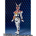 Click image for larger version

Name:	S.H.Figuarts Kamen Rider Aguilera  2.jpeg
Views:	165
Size:	65.4 KB
ID:	62080