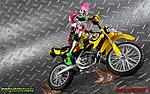 Click image for larger version

Name:	SH-Figuarts-Kamen-Rider-Lazer-Bike-Gamer-Level-2-048.jpg
Views:	303
Size:	246.6 KB
ID:	43551