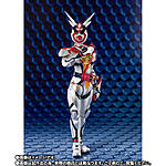Click image for larger version

Name:	S.H.Figuarts Kamen Rider Aguilera  4.jpeg
Views:	169
Size:	67.9 KB
ID:	62082