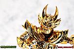 Click image for larger version

Name:	SH-Figuarts-Shinkocchou-Seihou-Golden-Knight-Garo-042.jpg
Views:	255
Size:	310.1 KB
ID:	48888