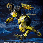 Click image for larger version

Name:	SIC-Kamen-Rider-OOO-LaToraTah-Combo-Official-009.jpg
Views:	297
Size:	183.9 KB
ID:	31514