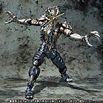 Click image for larger version

Name:	SH-Figuarts-Mole-Amazon-Official-007.jpg
Views:	230
Size:	445.0 KB
ID:	40008