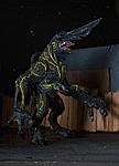 Click image for larger version

Name:	Pacific-Rim-Knifehead-004.jpg
Views:	422
Size:	90.8 KB
ID:	10340