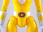 Click image for larger version

Name:	Mighty-Morphin-Power-Rangers-Movie-Legacy-Yellow-Ranger-021.JPG
Views:	540
Size:	596.9 KB
ID:	28913