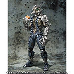 Click image for larger version

Name:	SH-Figuarts-Mole-Amazon-Official-004.jpg
Views:	206
Size:	387.7 KB
ID:	40005