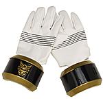 Click image for larger version

Name:	Megaforce_Hand_Gear.jpg
Views:	291
Size:	70.4 KB
ID:	6620