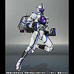 Click image for larger version

Name:	SH Figuarts Kamen Rider Psyga 03.jpg
Views:	1544
Size:	77.4 KB
ID:	13810