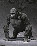 Click image for larger version

Name:	S.H MonsterArts King Kong 02.jpg
Views:	309
Size:	57.8 KB
ID:	6058