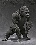 Click image for larger version

Name:	S.H MonsterArts King Kong 06.jpg
Views:	322
Size:	54.6 KB
ID:	6062