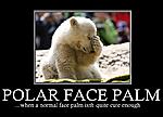 Click image for larger version

Name:	polar_face_palm.jpg
Views:	381
Size:	52.3 KB
ID:	16966