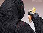 Click image for larger version

Name:	S.H.Monster Arts King Kong 8.jpg
Views:	378
Size:	49.7 KB
ID:	9682