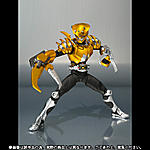 Click image for larger version

Name:	S.H.Figuarts Scissors3.jpg
Views:	267
Size:	72.1 KB
ID:	9521